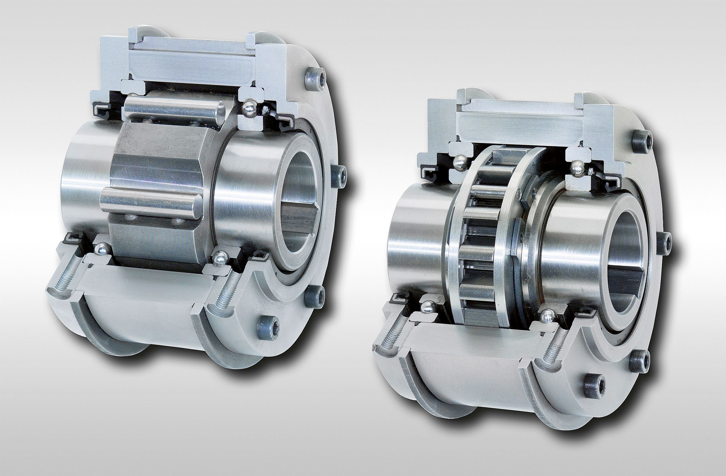 complete freewheels of the BM series from RINGSPANN complete freewheels of the BM series from RINGSPANN